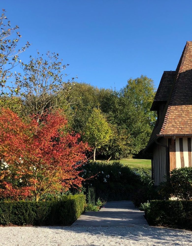 Association des différents matériaux dans le jardin à l'horizon